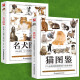 【铜版纸】全2册猫图鉴+名犬图鉴狗狗训练教程狗狗品种大全名犬图鉴179种纯种猫的特征宠物习性书籍动物科普 养猫养狗实用指南书籍 2册