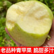 【品质甄选】山东金帅青苹果新鲜应季水果酸甜脆苹果老人孕妇水果 5斤 精选大果