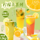 锡斯里（XiSiLi） 柠檬汁 金桔柠檬浓缩果汁自制柠檬茶水专用原浆商用原料1.2kg 柠檬汁1.2kg