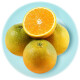 曙光  新鲜现摘夏橙伦晚脐橙橙子水果 当季水果手剥甜橙子 3斤装