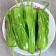 格沃斯（GEWOSI）现摘新鲜青椒农家自种青椒薄皮椒微辣芜湖椒椒应季新鲜蔬菜 1斤 精选