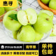 惠寻京东自有品牌 陕西青苹果酸甜苹果绿苹果新鲜水果产地直发 带箱3斤（单果65mm+）