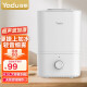 亚都（YADU） 家用空气加湿器4.5L上加水办公室加湿器卧室大容量加湿器SC230-S046