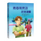 青春期男孩完美攻略(“知心姐姐”卢勤倾情推荐，欧洲权威青少年成长宝典，青春期男孩的私房书，专为8至18岁男孩设计，解决青春期困扰)