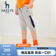 哈吉斯（HAZZYS）童装男童七分裤夏季新品中大童休闲运动七分裤 花灰 165cm