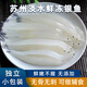 苏州太湖渔港国产淡水小银鱼鲜活冷冻新鲜宝宝辅食大面条鱼白饭鱼 净重100g×5包 6-8厘米