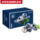 京鲜生 云南蓝莓 巨无霸22mm+ 6盒礼盒装 约125g/盒 新鲜水果礼盒