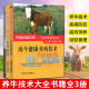 养牛技术大全 肉牛养殖技术书籍全3册图说如何安全高效饲养肉牛+肉牛健康养殖+牛病防控关键技术有问必答 农业林业畜牧书籍J