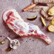 牧润德新疆排酸羔羊前腿4个（10斤左右）烧烤羊腿 草饲羊肉 肉质鲜美食