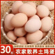 悦塘巷30枚 正宗土鸡蛋 农家散养新鲜农村草鸡蛋柴鸡蛋本笨鸡蛋野外放养 土鸡蛋30枚