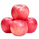 红富士苹果 2斤装75-80mm新鲜水果整箱