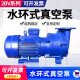 法耐（FANAI） 2BV系列水环式真空泵工业用高真空水循环真空泵压缩机 2BV2060-0.81KW (球墨铸铁叶轮)