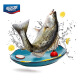 海名威 冷冻三去海鲈鱼450g/条 (配料包)深海鱼 生鲜鱼类 海鲜水产