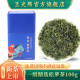 王光熙 绿茶2024新茶 松萝茶 一级精选100g罐装 炒青绿茶高山春茶