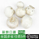 绿食者 新鲜口蘑约500g 食用菌菇 小白菇 口菇 双孢菇