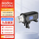 神牛（Godox） AD600pro外拍闪光灯单反相机TTL高速同步连拍摄影灯内置2.4G接收器 AD600pro 官方标配