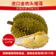 京鲜生 进口金枕头榴莲 2-3个装 总重5kg以上 新鲜水果