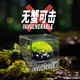 丘辰无蟹可击苔藓微景观生态瓶DIY办公室内桌面小盆栽绿植螃蟹缸礼物 无蟹可击（螃蟹缸）