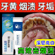 医用美白牙膏口臭黄牙渍烟渍牙垢亮齿清新口气除口腔异味清新口气呵护牙龈SC 一盒装【基础装】口臭