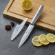 拜格（BAYCO） 不锈钢水果刀家用 全钢西瓜刀削皮器厨房 XY90101