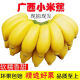 繁浮【小米蕉】广西小米蕉 当季新鲜水果小香蕉芭蕉西贡蕉批发 3斤