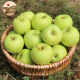 帆儿庄园新鲜青苹果酸水果绿色新鲜时令应季迷你青苹果带箱2.5kg 2.5kg