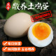 香丹青农家生态土鸡蛋20枚装 新鲜鸡蛋草鸡蛋笨鸡蛋