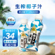 椰子泡泡果肉椰汁310ml*12瓶 泰式椰子风味饮料 整箱椰子汁