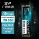 广颖电通（Silicon Power）P34A60 1TB SSD m.2固态硬盘pcie3.0x4 NVMe协议硬盘  一体机台式机笔记本电脑硬盘 固态笔记本 P34A60 PCIe3.0 SSD容
