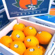 源枝园味（YUANZHIYUANWEI）美国进口新奇士脐橙3107 12个礼盒装单果200-250g澳橙水果甜橙