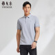 雅戈尔 T恤男士 2022夏季青年男士商务休闲短袖T恤 VSPC533066DCA 灰色 XL