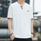 JEEP SPIRIT吉普短袖T恤男夏季休闲短袖男士V领上衣打底衫男装 白色 XL 