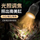 益科达鱼缸灯射灯鱼缸造景照明灯变焦led防水亮夹灯水草雷龙原生专用灯 3.6W手机控制款可调亮度 +定时开关30缸