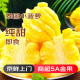 汇香坊泰国进口小菠萝新鲜削皮去皮香水5斤可选即食生鲜迷你鲜甜凤梨 3斤 开袋即食[3-4个/斤]