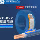 环市广州珠江电线电缆国标纯铜芯ZC-BVV双塑双皮单股阻燃硬线100米 ZC-BVV6平方（蓝色）