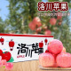 洛川苹果（luochuanapple）陕西延安红富士时令水果苹果新鲜糖心产地直发脆甜多汁可以带皮吃 80mm 净重4.5斤丑果 10±有空格