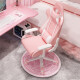 哈骆顿（HALODN）粉色电脑桌子台式电竞桌家用简易书桌少女游戏桌椅组合套装游戏桌 升降扶手款-粉【单椅】