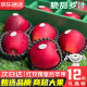 鲜七星新西兰进口苹果红玫瑰12颗高级当甜新鲜当季水果节日礼盒装鲜果 5A商超大果（单果130-160g） 12颗礼盒装