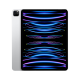 【备件库9成新】Apple【教育优惠】iPad Pro 12.9英寸 2022年款(256G WLAN版/M2芯片Liquid视网膜XDR屏MNXT3CH/A) 银色