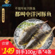 中洋鱼天下 (ZHONGYANG GLOBAL FISH)中洋鱼天下河豚鱼暗纹东方鲀 100g整条生鲜年货 冷冻鱼类海鲜水产 河豚鱼100g/条 4条装