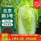 花沃里北京新三号大白菜种子10g/袋 蔬菜种子秋冬四季萝卜种子庭院田间