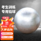 紫湖 铅球 中高考比赛5公斤实心铅球 田径实心球5KG标准足重铅球
