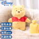 迪士尼(Disney)毛绒玩具热水袋2合1暖手袋 宝宝女生热敷暖肚子维尼小熊玩偶30cmDWP-18105六一儿童节礼物