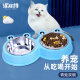 派乐特 猫碗狗碗狗粮食水盆宠物猫咪用品小中型犬不锈钢双碗防滑喂食器