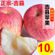 玫栀 山西吉县红富士壶口苹果水果新鲜一级10斤当季整箱糖心脆甜 75mm(含)-80mm(不含)