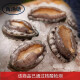 海渔链 鲍鱼大鲍鱼冷冻大鲍鱼 海鲜水产贝类生鲜火锅食材 4-6头特大鲍鱼/500g