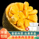 优亩甜 海南黄肉菠萝蜜 整个 木波罗蜜新鲜水果带箱 13-17斤【实惠装】