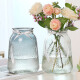 盛世泰堡 北欧玻璃花瓶插花瓶干花满天星仿真花水培植物容器小花瓶客厅装饰摆件 冰点透明款18cm
