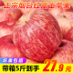 蔬农联（SHUNONGLIAN） 正宗山东栖霞红富士苹果 当季新鲜脆甜水果送礼 带箱5斤装 75-80mm
