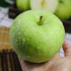 乡语小吖国产青苹果 带箱5斤 印度青苹果雀斑绿 新鲜水果 生鲜